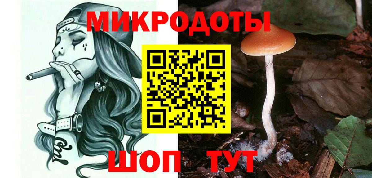 Медногорск  Псилоцибиновые грибы Cubensis  Вход с VPN 